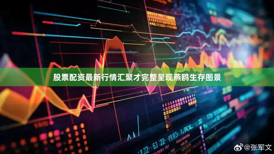 股票配资最新行情汇聚才完整呈现燕鸥生存图景