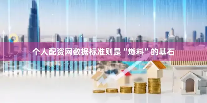 个人配资网数据标准则是“燃料”的基石